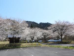 滝フォト6