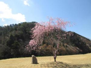 矢祭山02