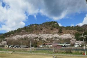 矢祭山05