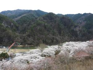 矢祭山06