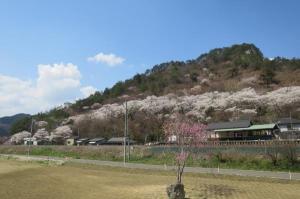 矢祭山08