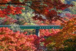 矢祭山22