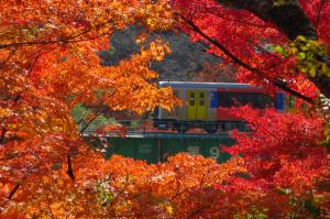 矢祭山24