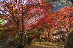 矢祭山26
