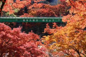 矢祭山27