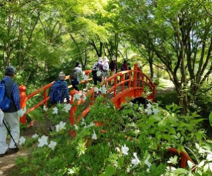 矢祭山