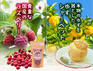 ゆずシャーベット＋冷凍ラズベリーセット