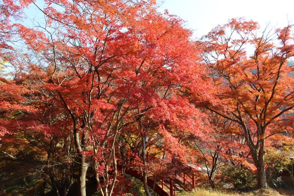 矢祭山公園20231124-1