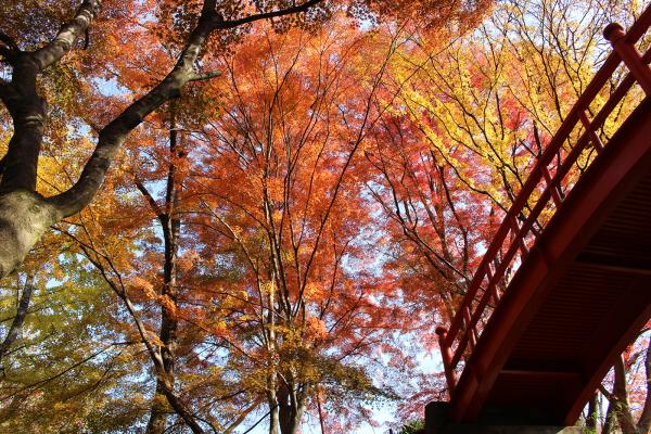 矢祭山公園20231124-2