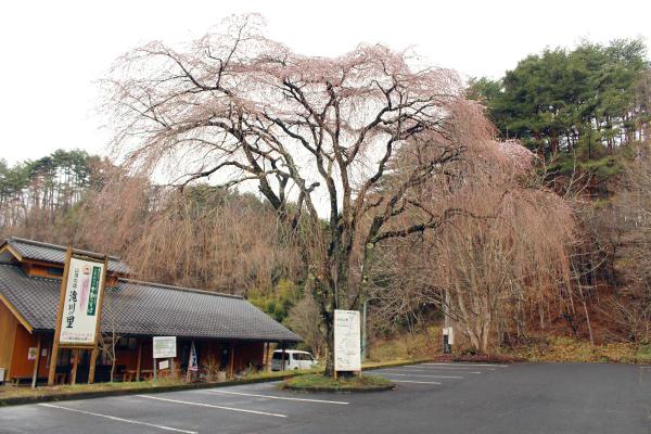 滝川渓谷20250414-1