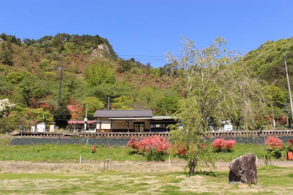 矢祭山公園つつじ20250430-1