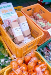 協力隊(4)