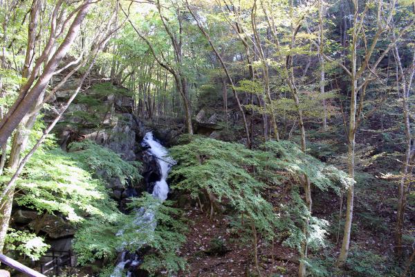 滝川渓谷紅葉20251030-3