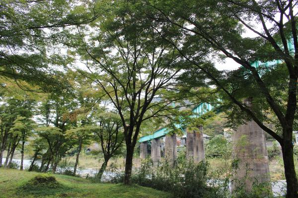 矢祭山公園紅葉20251031-1