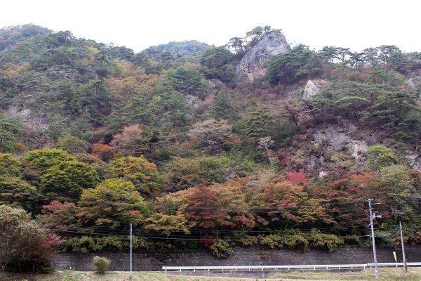 矢祭山公園紅葉20251031-2