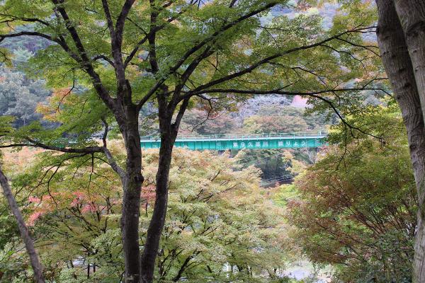 矢祭山公園紅葉20251031-3