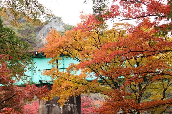 矢祭山公園紅葉20251111-1