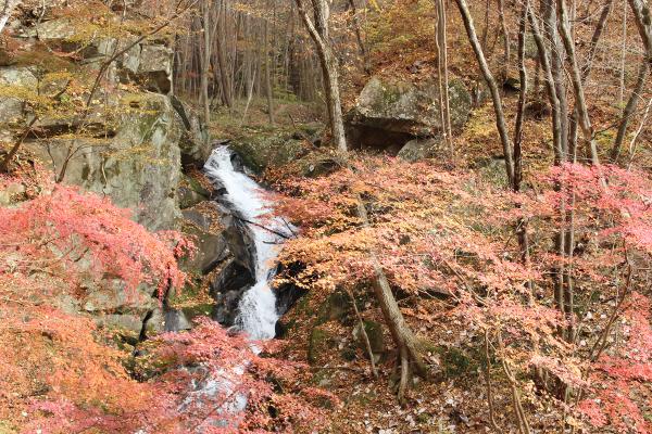 滝川渓谷20251120-3