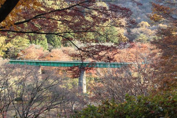 矢祭山公園紅葉20251120-1