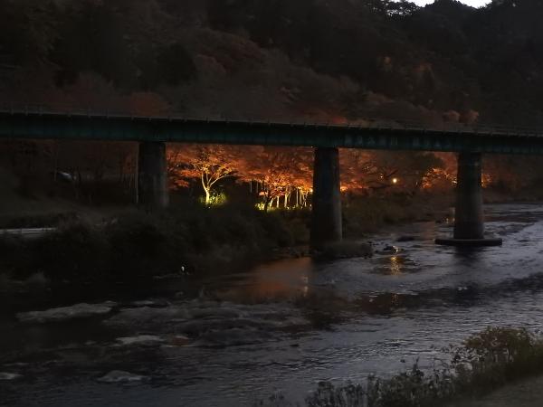 矢祭山公園紅葉20251120-3