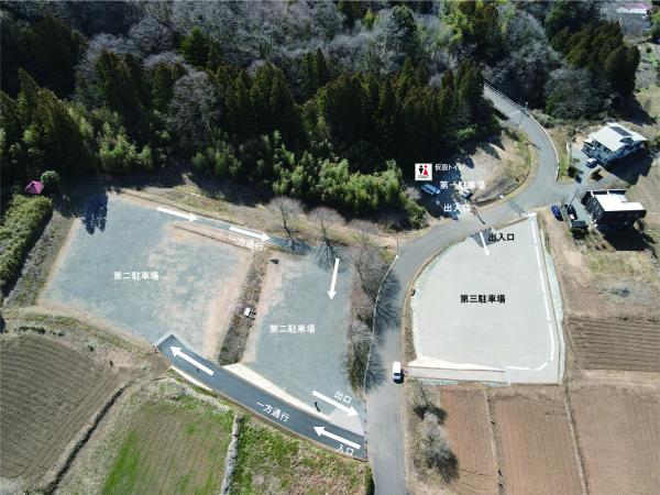 戸津辺の桜駐車場20260317