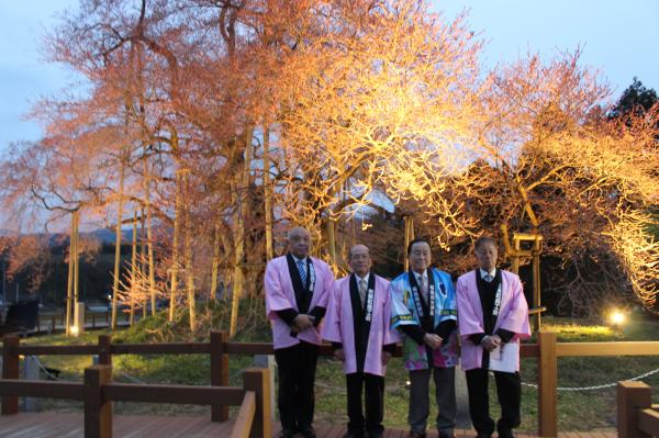 戸津辺の桜2026-0326-3