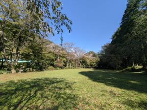 友情の森キャンプ場