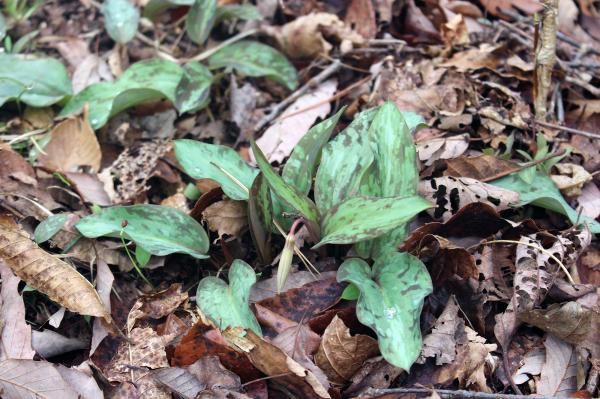 ���k�J20260330-1