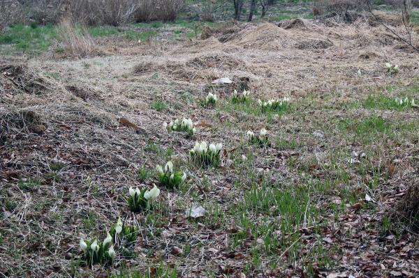 ���k�J20260330-2