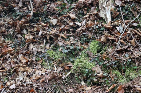 ���k�J20260330-3