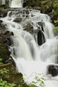 地域おこし協力隊2