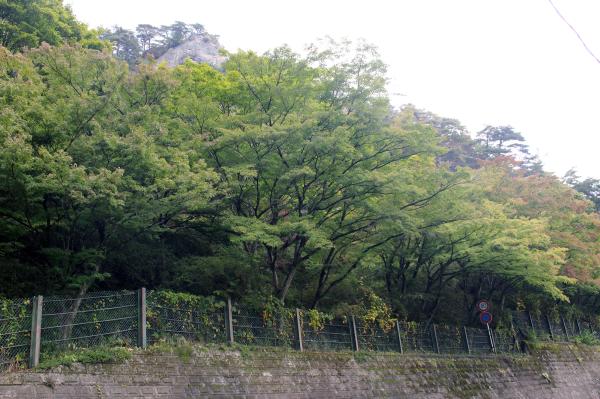矢祭山公園紅葉20261020-1