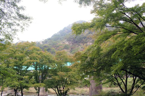 矢祭山公園紅葉20261020-2
