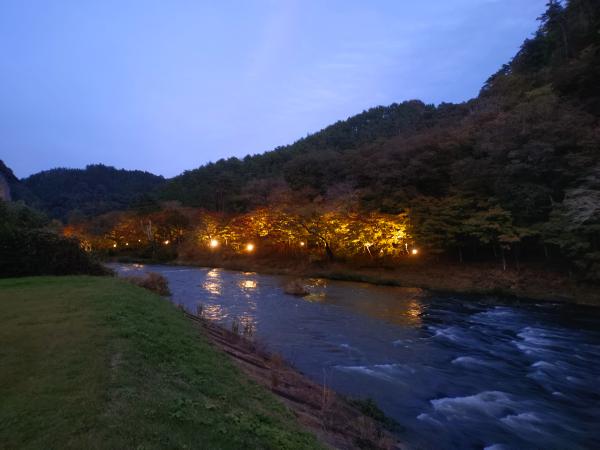 矢祭山公園紅葉ライトアップ2025