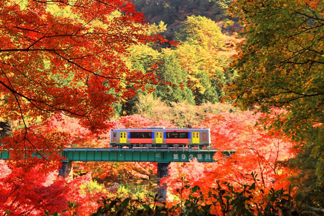 水郡線_紅葉1